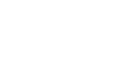Le morpho bleu